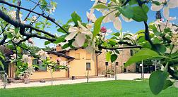 agriturismo Il Podere di Assisi