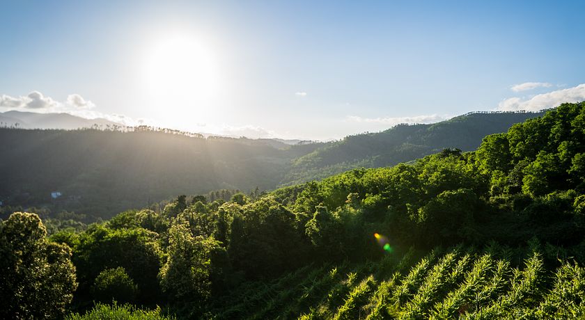 AGRITURISMO CERROLUNGO