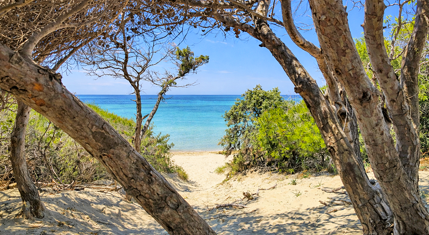 Luminoso Trullo salentino in uliveto