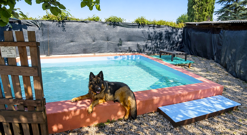 Agriturismo  Gravanella 