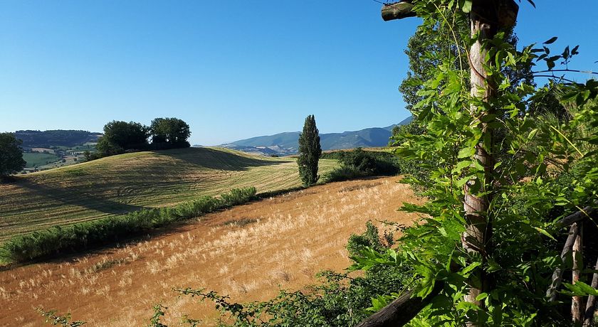 Fattoria Fontegeloni - Agriturismo e Az. Agr. Biologica