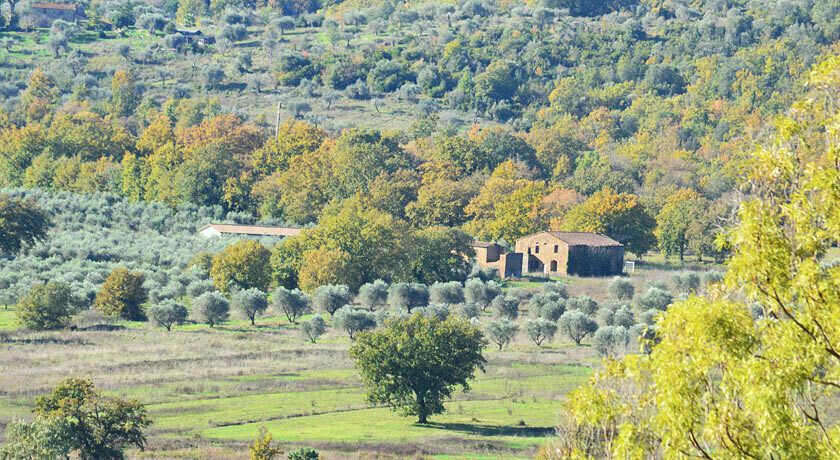 AGRICAMPEGGIO PODERE SANTA CLORINDA