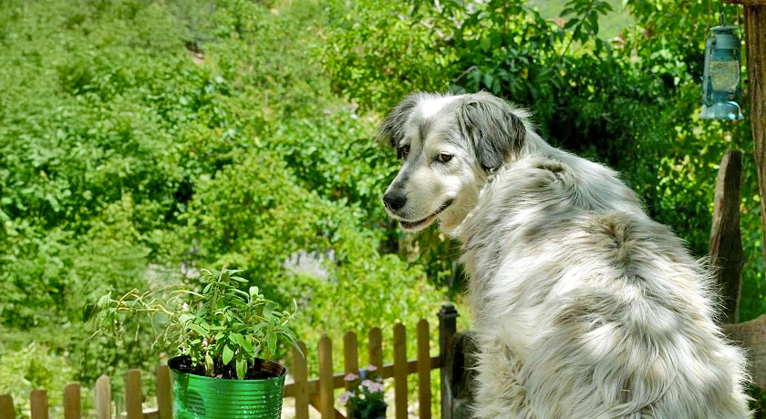 Agriturismo Slowcanda