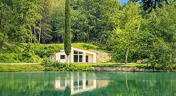 LE SORGENTI NEL BOSCO