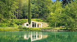 LE SORGENTI NEL BOSCO