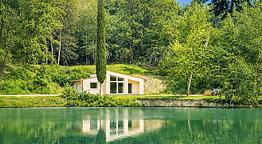 LE SORGENTI NEL BOSCO