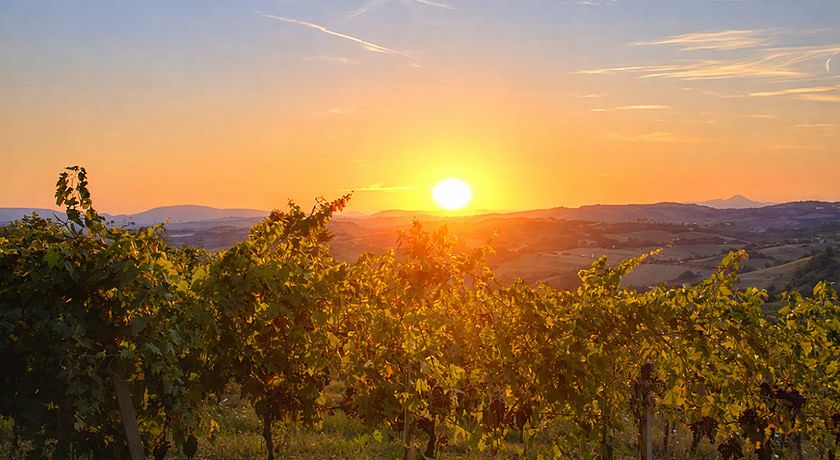 Alla corte di Carolina