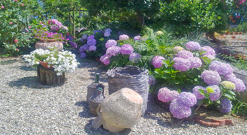 B&B Villa Ortensia