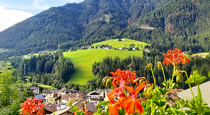 Struttura Hotel Villa Emilia