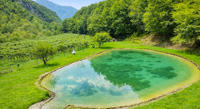 Agriturismo Maso Rocca 