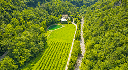 Agriturismo Maso Rocca 