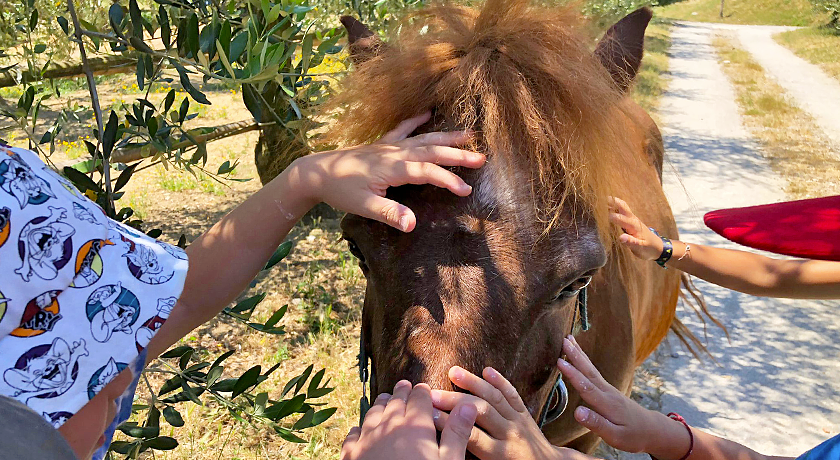 OASI AGRITURISTICA BAUGIANO