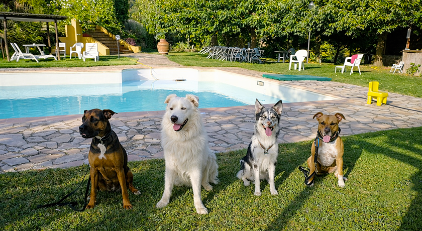 Agriturismo  Gravanella 