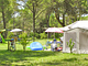BELVEDERE PINETA