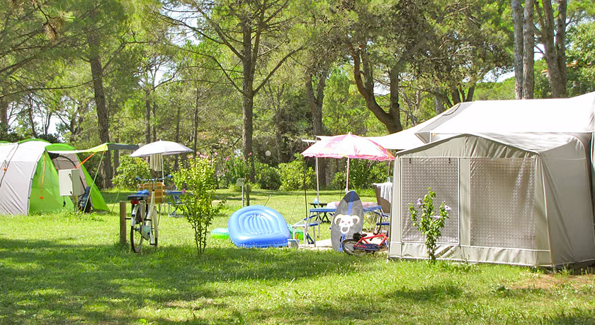 BELVEDERE PINETA