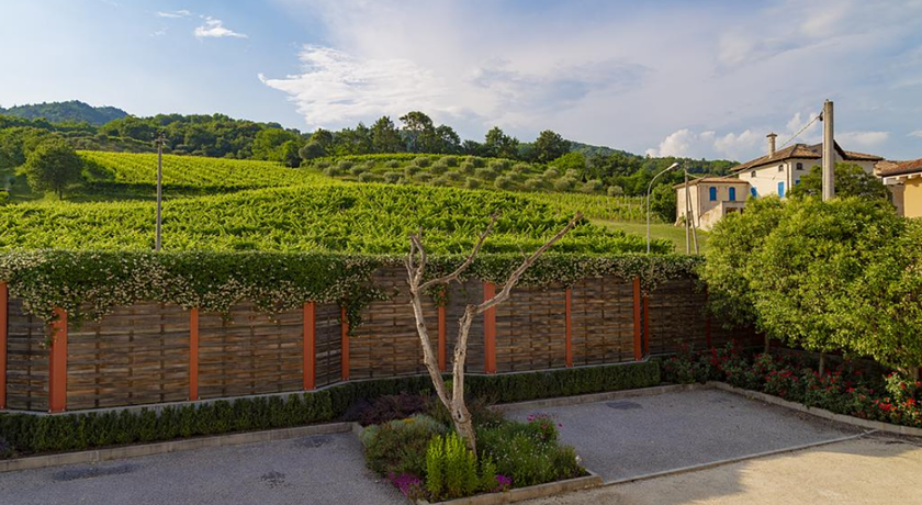 Agriturismo Sant'Andrea con Cantina Martignago Vignaioli