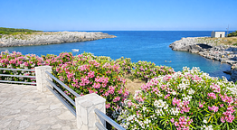 Agriturismo Masseria Terra d'Otranto 