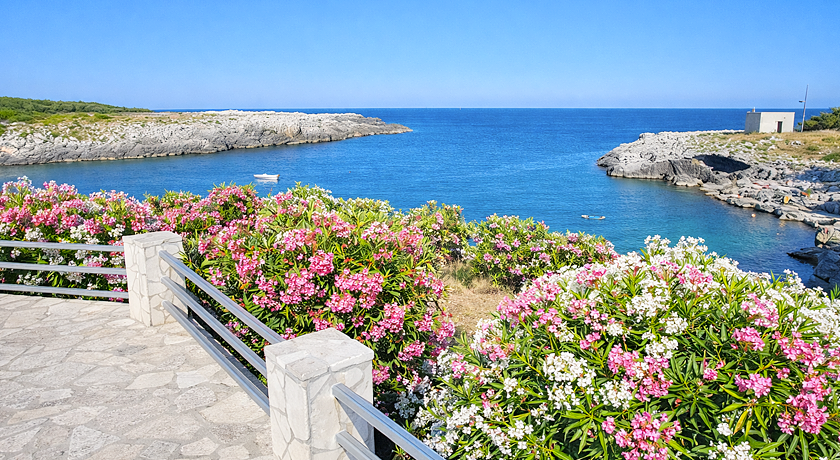 Agriturismo Masseria Terra d'Otranto 