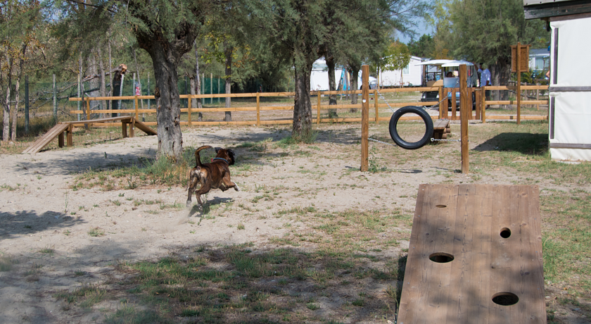 Club del Sole Spina Family Camping Village