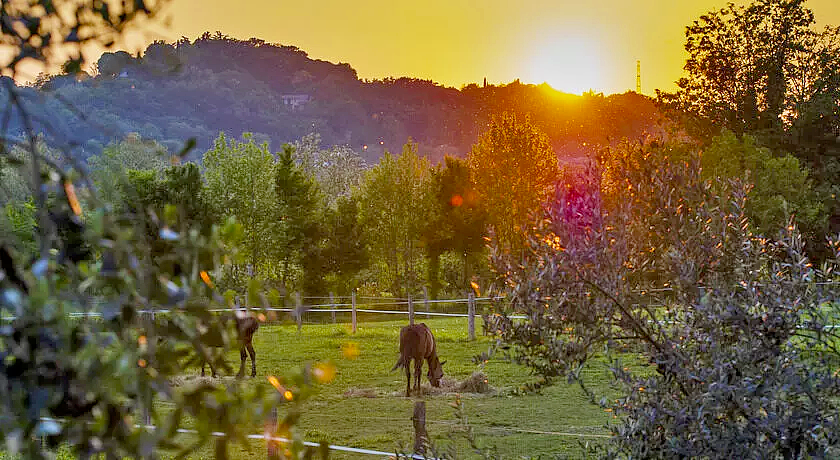 AGRITURISMO TREBISONDA COUNTRY RESORT