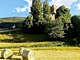 B&B La Tour de Villa