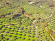 Azienda agrituristica Gullà