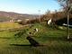 Agriturismo Il Cucciolo