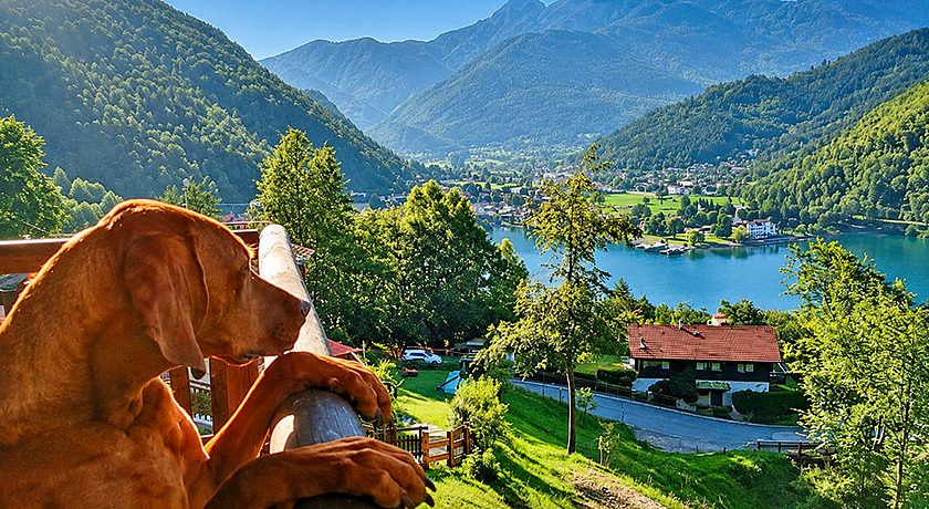 Ledro House Appartamenti Vacanza