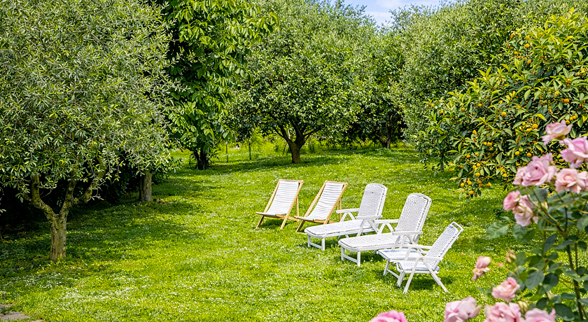 Tra gli ulivi e la Riviera del Conero