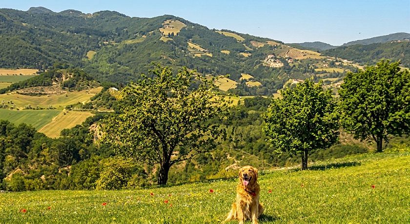 B&B Cà Serra
