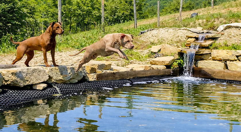 La Grotta dei Folletti