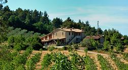 Agriturismo Belsito