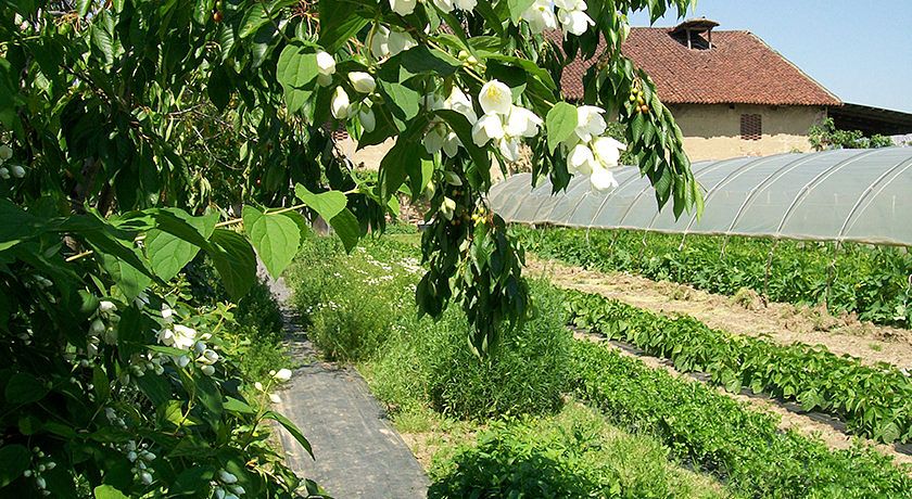 AGRITURISMO CASCINA DUC