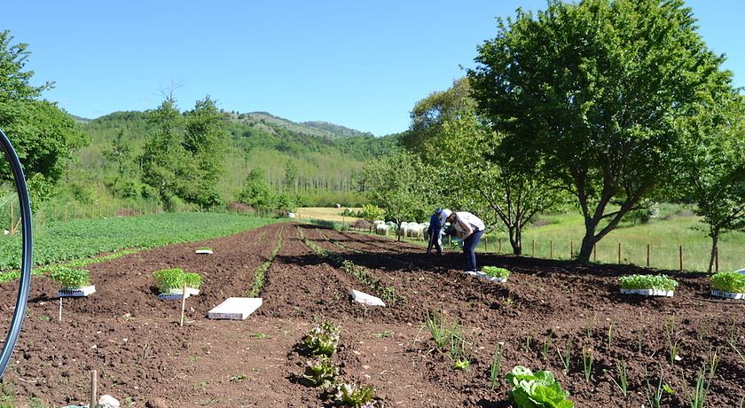 IL GIARDINO DEI CILIEGI