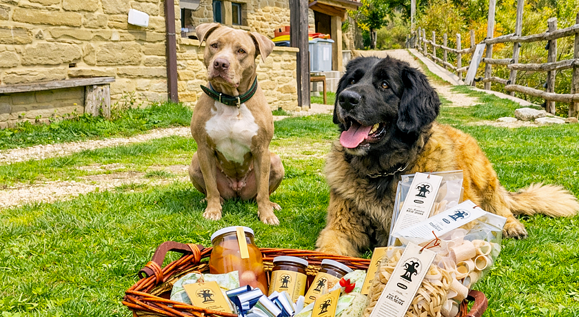 La Grotta dei Folletti