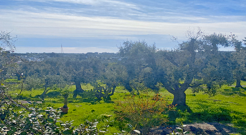 Il Trullo di Loa ad Ostuni, Mare e Valle d'Itria