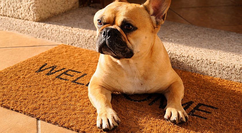 Resort Le Ville Le Saline Palau