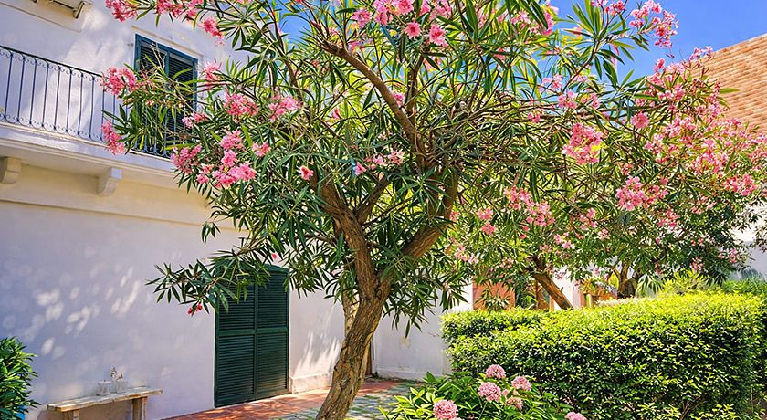 B&B Il Giardino Nascosto