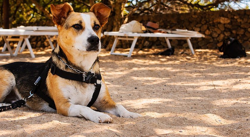 Resort Le Ville Le Saline Palau