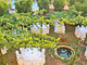 Villarancia Luxury B & B