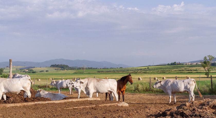 Agriturismo Al Girasole