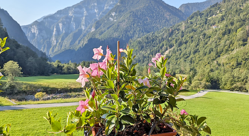 Eco-Baita Natura Spensierata