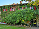 Fattoria Montalbano