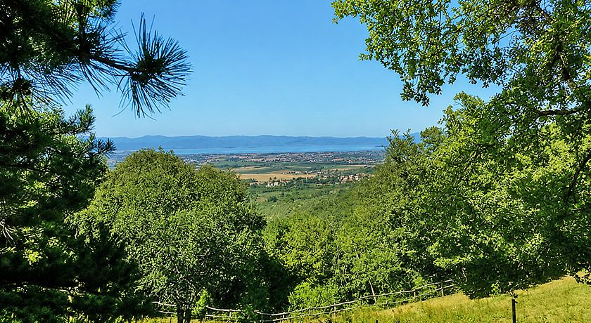 Agriturismo Il Pausillo