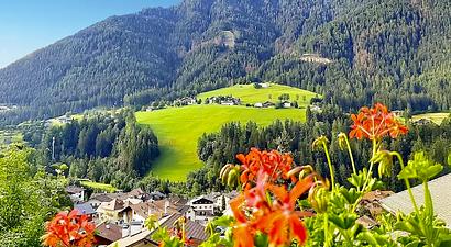 Struttura Hotel Villa Emilia