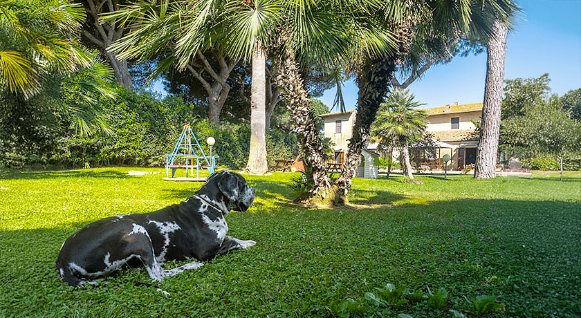 Casale d'epoca Voltoncino