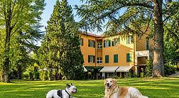 PARK HOTEL
