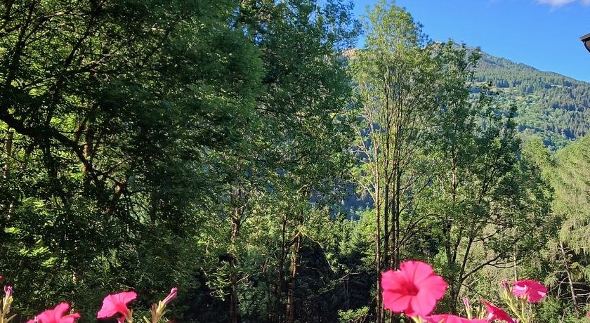 La Locanda nel bosco