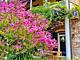 B&B la Fucinaia child free
