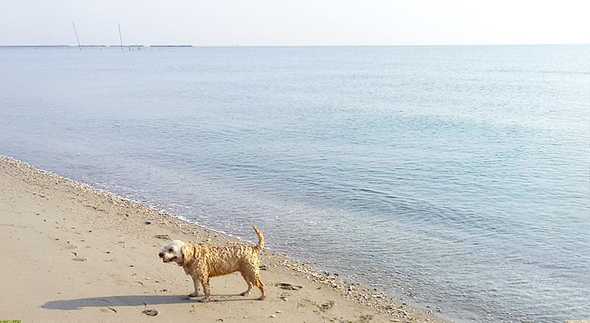 Camping Village Ramazzotti